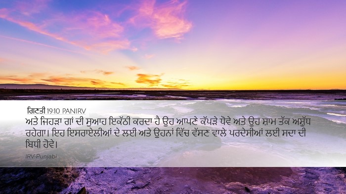 ਗਿਣਤੀ 19:10 PANIRV Desktop Wallpaper - ਅਤੇ ਜਿਹੜਾ ਗਾਂ ਦੀ - Desktop Bible Verse Wallpaper