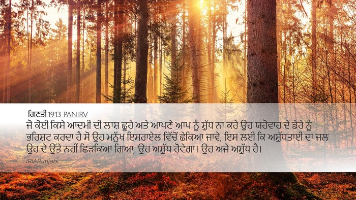 ਗਿਣਤੀ 19:13 PANIRV Bible Verse Image
