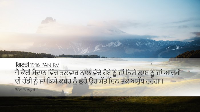 ਗਿਣਤੀ 19:16 PANIRV Bible Verse Image