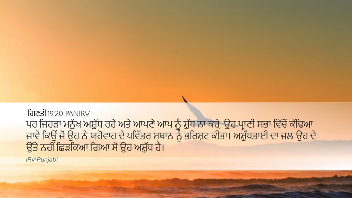 ਗਿਣਤੀ 19:20 PANIRV Desktop Wallpaper - ਪਰ ਜਿਹੜਾ ਮਨੁੱਖ - Desktop Bible Verse Wallpaper