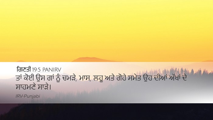 ਗਿਣਤੀ 19:5 PANIRV Desktop Wallpaper - ਤਾਂ ਕੋਈ ਉਸ ਗਾਂ ਨੂੰ - Desktop Bible Verse Wallpaper