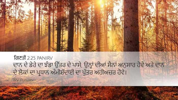 ਗਿਣਤੀ 2:25 PANIRV Bible Verse Image