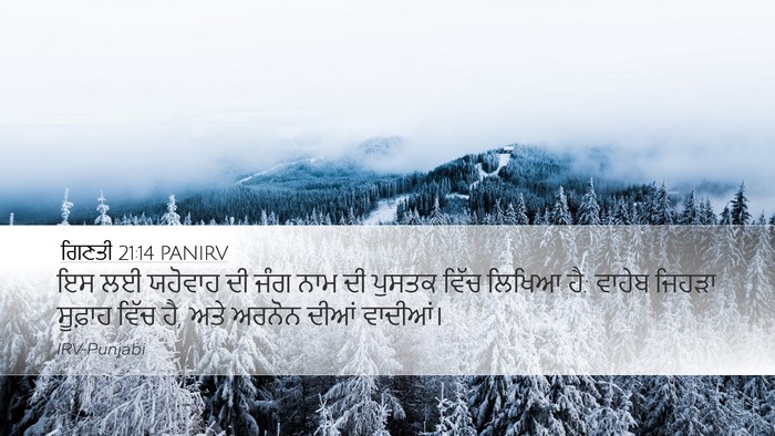 ਗਿਣਤੀ 21:14 PANIRV Bible Verse Image