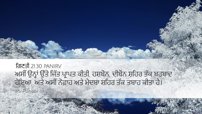 ਗਿਣਤੀ 21:30 PANIRV Desktop Wallpaper - ਅਸੀਂ ਉਨ੍ਹਾਂ ਉੱਤੇ - Desktop Bible Verse Wallpaper