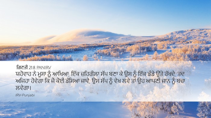 ਗਿਣਤੀ 21:8 PANIRV Bible Verse Image
