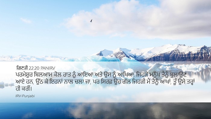 ਗਿਣਤੀ 22:20 PANIRV Bible Verse Image