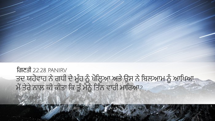 ਗਿਣਤੀ 22:28 PANIRV Bible Verse Image