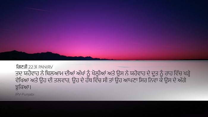 ਗਿਣਤੀ 22:31 PANIRV Desktop Wallpaper - ਤਦ ਯਹੋਵਾਹ ਨੇ ਬਿਲਆਮ - Desktop Bible Verse Wallpaper