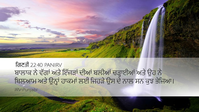 ਗਿਣਤੀ 22:40 PANIRV Desktop Wallpaper - ਬਾਲਾਕ ਨੇ ਵੱਗਾਂ ਅਤੇ - Desktop Bible Verse Wallpaper