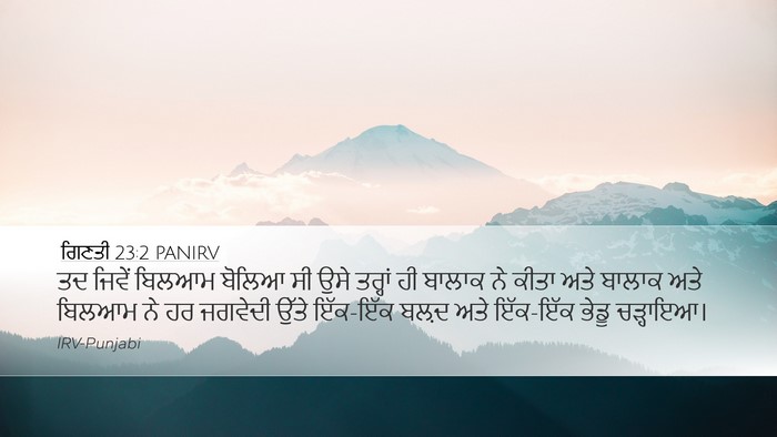 ਗਿਣਤੀ 23:2 PANIRV Bible Verse Image