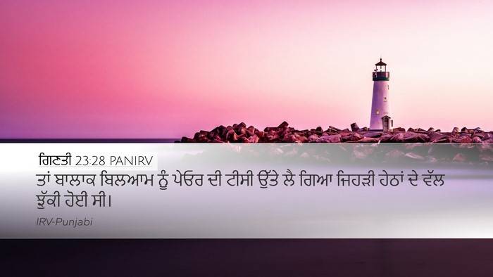 ਗਿਣਤੀ 23:28 PANIRV Desktop Wallpaper - ਤਾਂ ਬਾਲਾਕ ਬਿਲਆਮ - Desktop Bible Verse Wallpaper