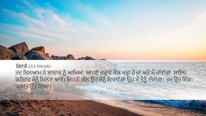 ਗਿਣਤੀ 23:3 PANIRV Bible Verse Image