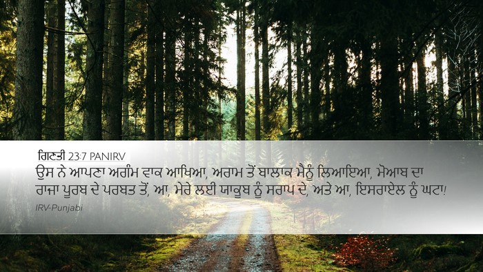 ਗਿਣਤੀ 23:7 PANIRV Bible Verse Image