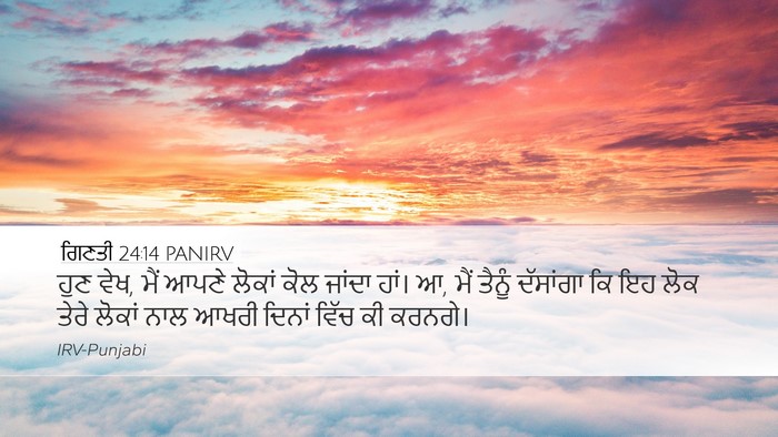 ਗਿਣਤੀ 24:14 PANIRV Bible Verse Image