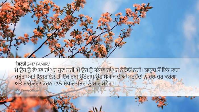 ਗਿਣਤੀ 24:17 PANIRV Bible Verse Image