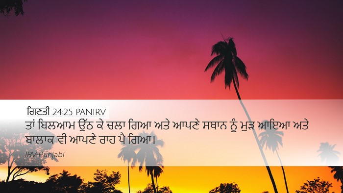 ਗਿਣਤੀ 24:25 PANIRV Bible Verse Image