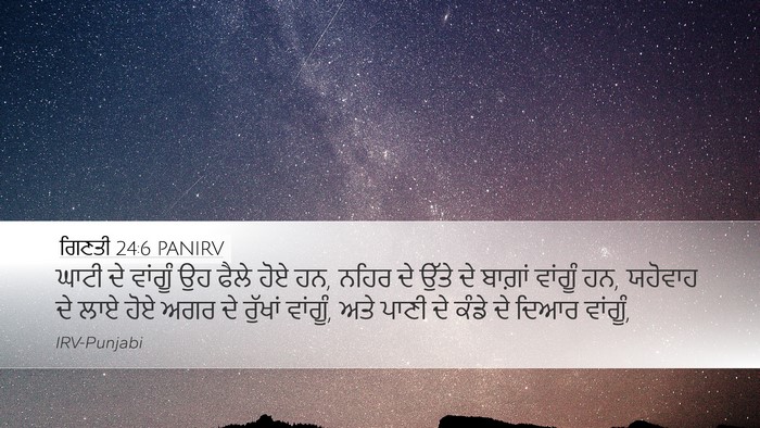 ਗਿਣਤੀ 24:6 PANIRV Bible Verse Image