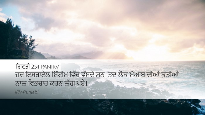 ਗਿਣਤੀ 25:1 PANIRV Bible Verse Image