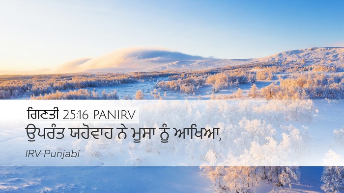 ਗਿਣਤੀ 25:16 PANIRV Desktop Wallpaper - ਉਪਰੰਤ ਯਹੋਵਾਹ ਨੇ - Desktop Bible Verse Wallpaper