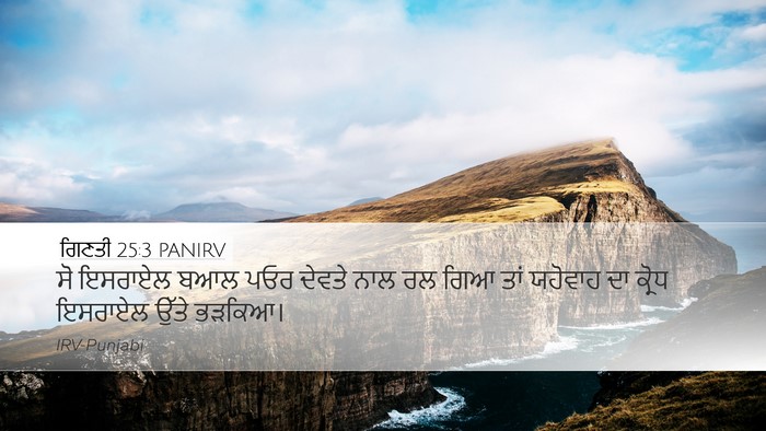 ਗਿਣਤੀ 25:3 PANIRV Bible Verse Image