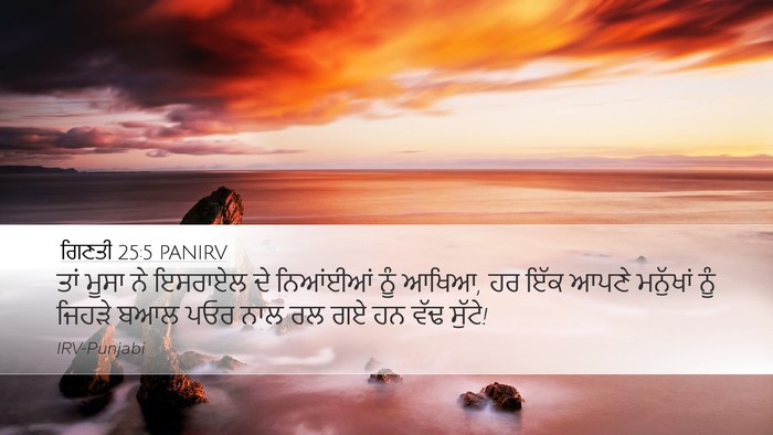 ਗਿਣਤੀ 25:5 PANIRV Bible Verse Image