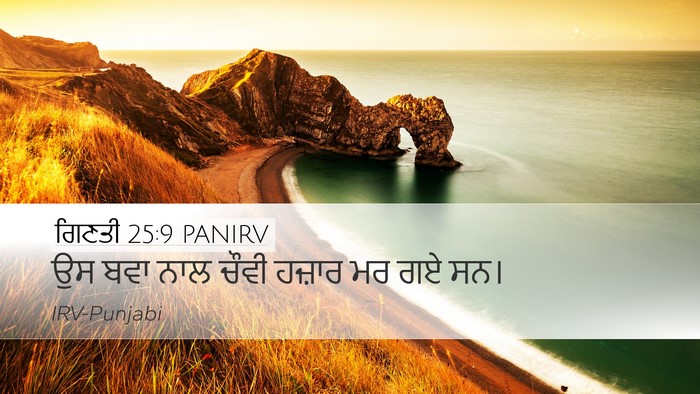 ਗਿਣਤੀ 25:9 PANIRV Bible Verse Image