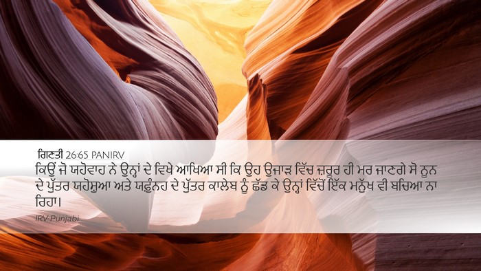 ਗਿਣਤੀ 26:65 PANIRV Bible Verse Image