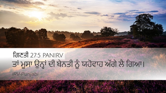 ਗਿਣਤੀ 27:5 PANIRV Bible Verse Image