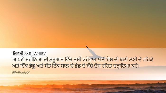 ਗਿਣਤੀ 28:11 PANIRV Bible Verse Image