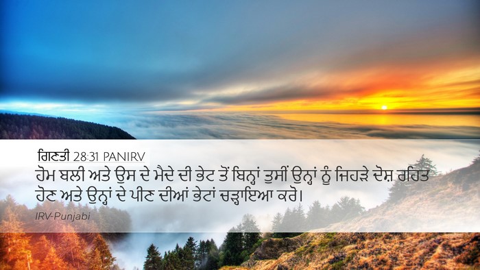 ਗਿਣਤੀ 28:31 PANIRV Bible Verse Image
