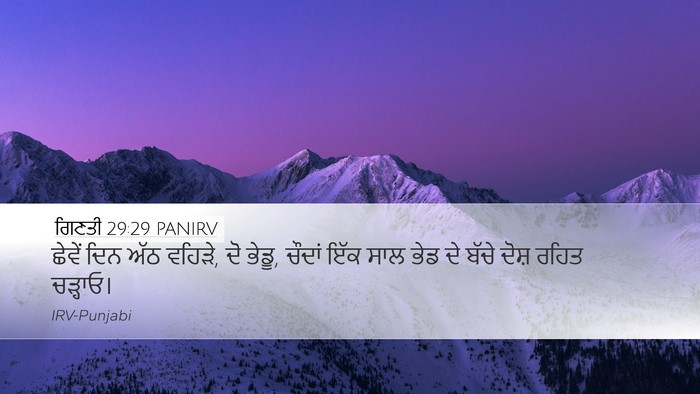 ਗਿਣਤੀ 29:29 PANIRV Desktop Wallpaper - ਛੇਵੇਂ ਦਿਨ ਅੱਠ - Desktop Bible Verse Wallpaper