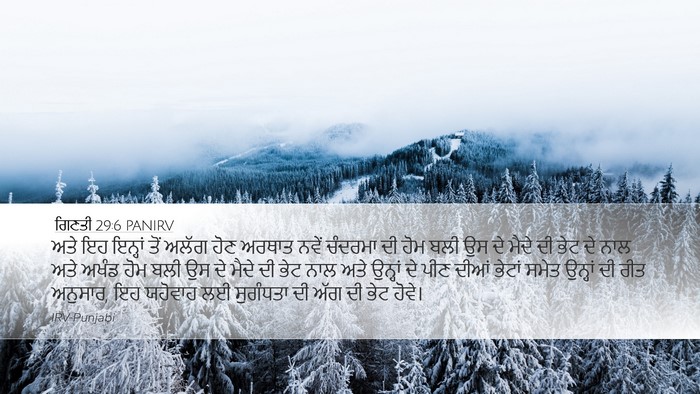 ਗਿਣਤੀ 29:6 PANIRV Bible Verse Image