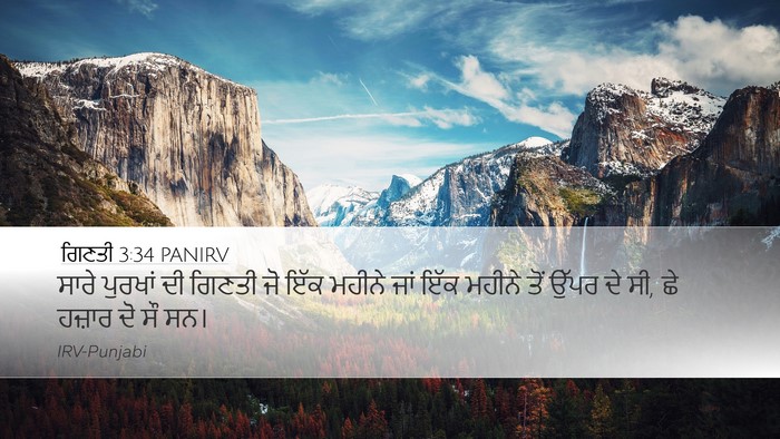 ਗਿਣਤੀ 3:34 PANIRV Bible Verse Image