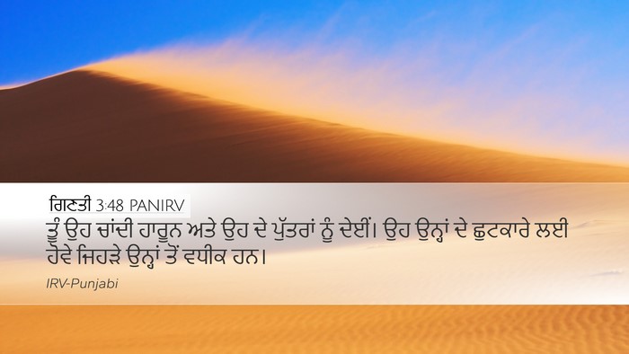 ਗਿਣਤੀ 3:48 PANIRV Desktop Wallpaper - ਤੂੰ ਉਹ ਚਾਂਦੀ ਹਾਰੂਨ - Desktop Bible Verse Wallpaper