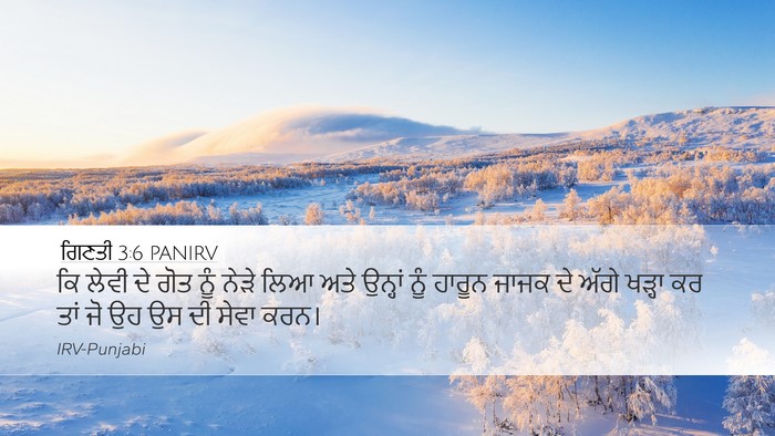 ਗਿਣਤੀ 3:6 PANIRV Desktop Wallpaper - ਕਿ ਲੇਵੀ ਦੇ ਗੋਤ ਨੂੰ - Desktop Bible Verse Wallpaper