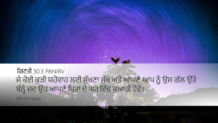 ਗਿਣਤੀ 30:3 PANIRV Bible Verse Image