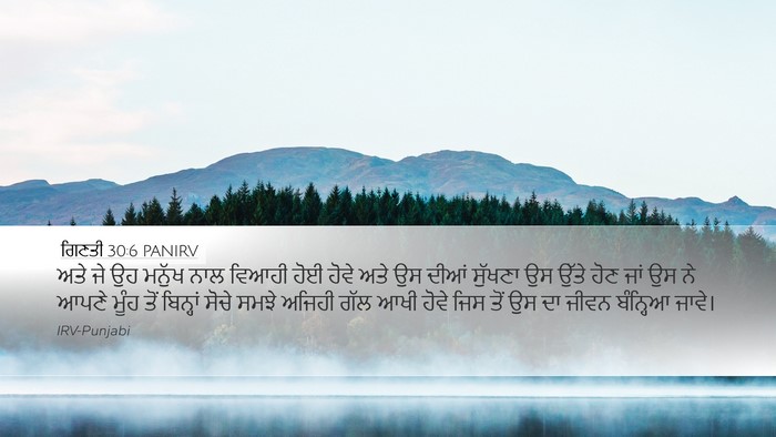 ਗਿਣਤੀ 30:6 PANIRV Desktop Wallpaper - ਅਤੇ ਜੇ ਉਹ ਮਨੁੱਖ ਨਾਲ - Desktop Bible Verse Wallpaper