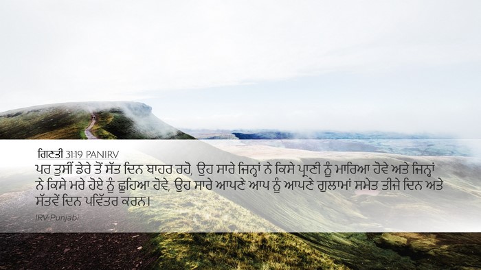 ਗਿਣਤੀ 31:19 PANIRV Bible Verse Image