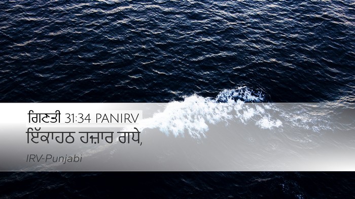 ਗਿਣਤੀ 31:34 PANIRV Desktop Wallpaper - ਇੱਕਾਹਠ ਹਜ਼ਾਰ - Desktop Bible Verse Wallpaper