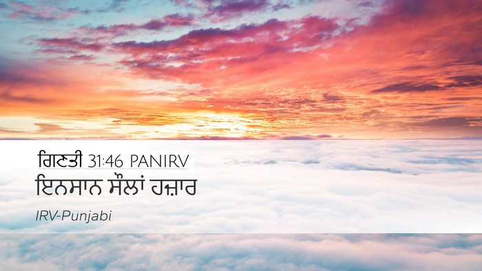 ਗਿਣਤੀ 31:46 PANIRV Desktop Wallpaper - ਇਨਸਾਨ ਸੌਲਾਂ - Desktop Bible Verse Wallpaper