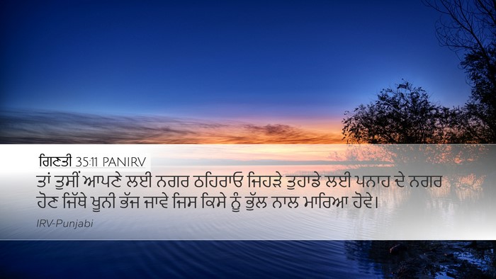 ਗਿਣਤੀ 35:11 PANIRV Bible Verse Image