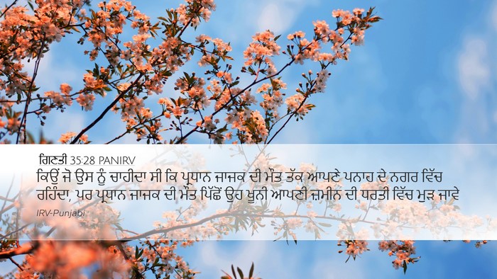 ਗਿਣਤੀ 35:28 PANIRV Bible Verse Image