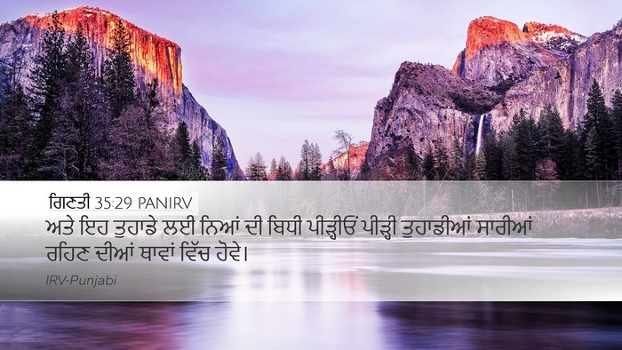 ਗਿਣਤੀ 35:29 PANIRV Bible Verse Image