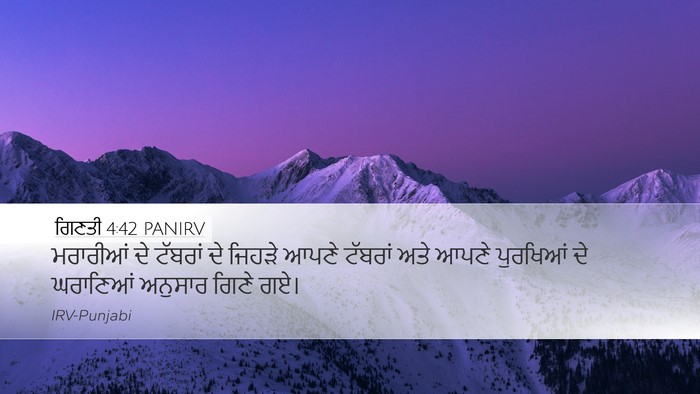 ਗਿਣਤੀ 4:42 PANIRV Bible Verse Image