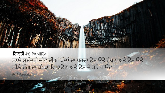 ਗਿਣਤੀ 4:6 PANIRV Bible Verse Image