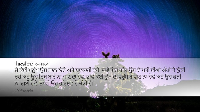 ਗਿਣਤੀ 5:13 PANIRV Desktop Wallpaper - ਜੇ ਕੋਈ ਮਨੁੱਖ ਉਸ ਨਾਲ - Desktop Bible Verse Wallpaper
