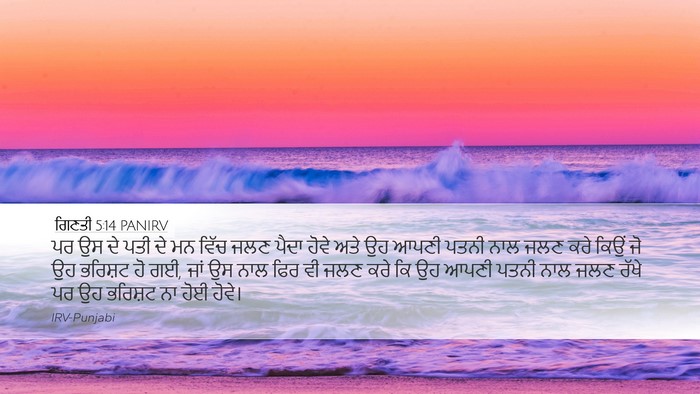 ਗਿਣਤੀ 5:14 PANIRV Desktop Wallpaper - ਪਰ ਉਸ ਦੇ ਪਤੀ ਦੇ ਮਨ - Desktop Bible Verse Wallpaper