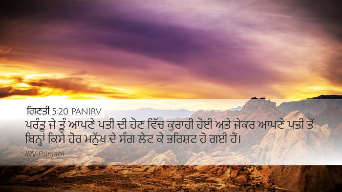ਗਿਣਤੀ 5:20 PANIRV Bible Verse Image