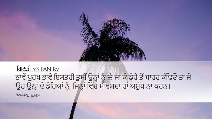 ਗਿਣਤੀ 5:3 PANIRV Desktop Wallpaper - ਭਾਵੇਂ ਪੁਰਖ ਭਾਵੇਂ - Desktop Bible Verse Wallpaper