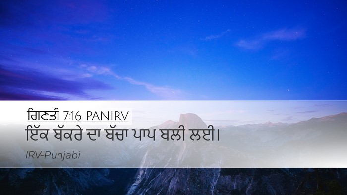 ਗਿਣਤੀ 7:16 PANIRV Desktop Wallpaper - ਇੱਕ ਬੱਕਰੇ ਦਾ ਬੱਚਾ - Desktop Bible Verse Wallpaper